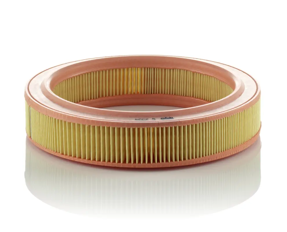 Sichere Zahlung MANN-FILTER C 2534 - Luftfilter