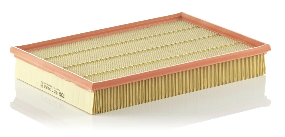 Preisknaller MANN-FILTER C 36 221 - Luftfilter