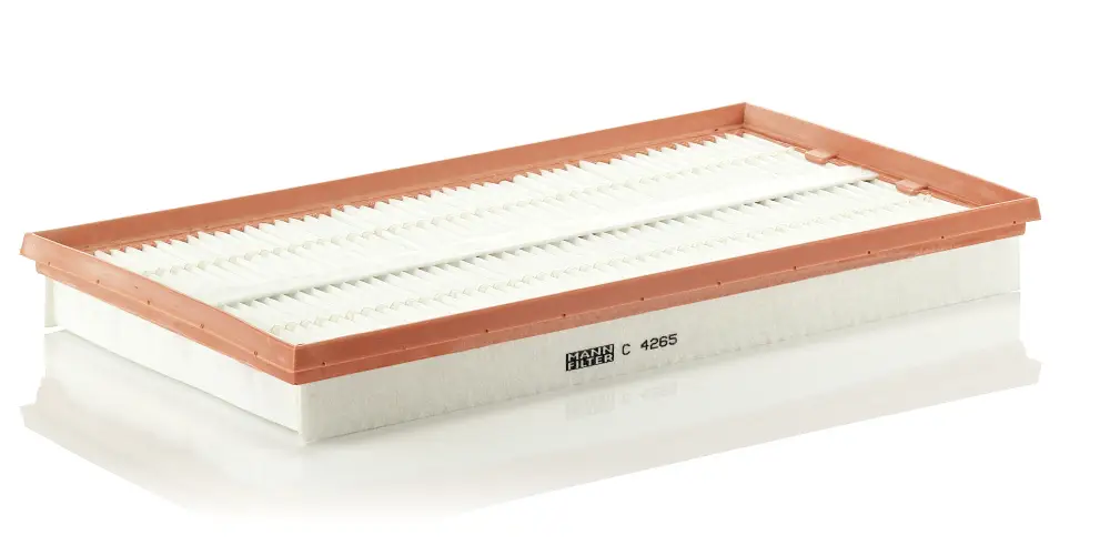 Sichere Zahlung MANN-FILTER C 4265 - Luftfilter
