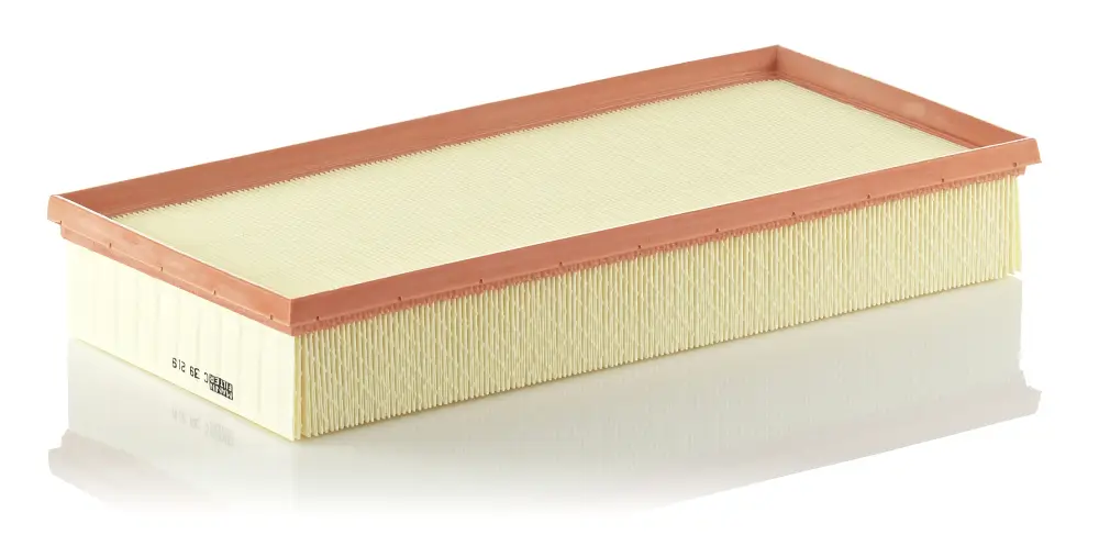 MANN-FILTER C 39 219 - Luftfilter Knallerangebot