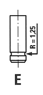 FRECCIA R7077/SARNT - Einlassventil Markenware