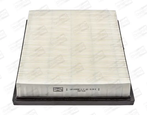 Super-Preis CHAMPION CAF100928P - Luftfilter