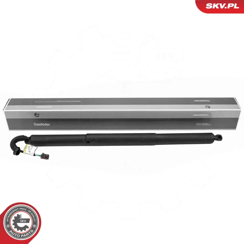 ESEN SKV 52SKV259 - Elektromotor, Heckklappe Bestpreis
