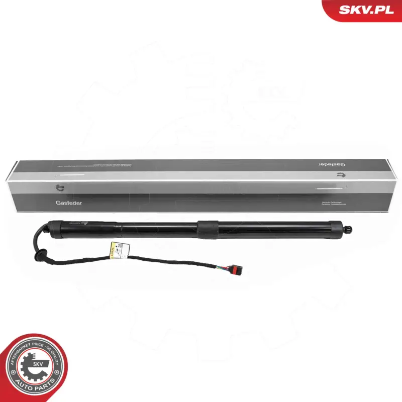 ESEN SKV 52SKV168 - Elektromotor, Heckklappe Sichere Zahlung