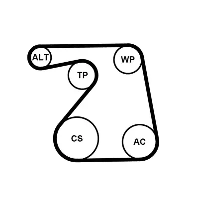 Zertifiziert CONTINENTAL CTAM 6PK1360K1 - Keilrippenriemensatz