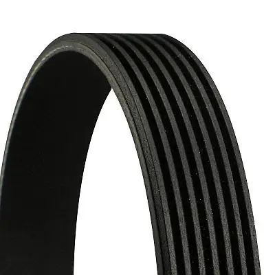 CONTINENTAL CTAM 7PK1119 EXTRA - Keilrippenriemen Aktuell