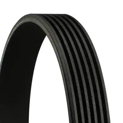 Echt CONTINENTAL CTAM 6PK882 EXTRA - Keilrippenriemen